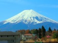 迎春富士山