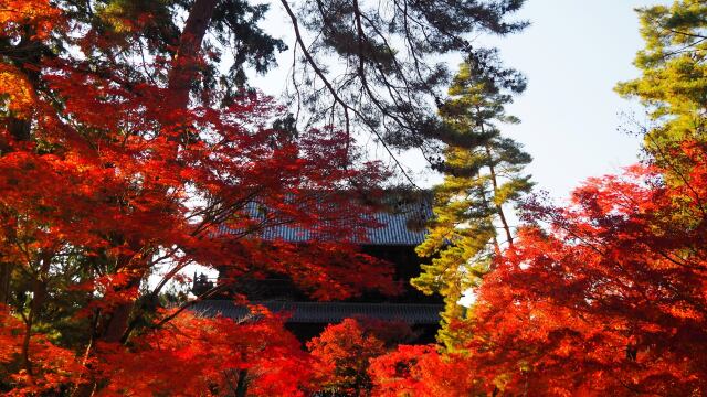 秋の南禅寺