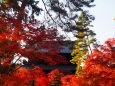 秋の南禅寺