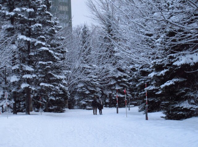 遠回りの帰り道