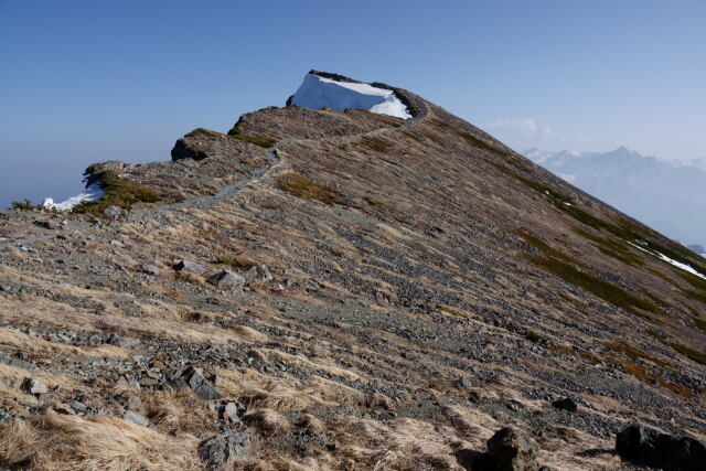 白馬岳にて