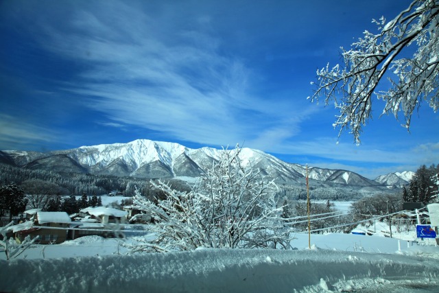 オ二コウべ冬景色