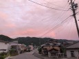 夕方の虹