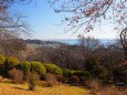 冬の吾妻山公園の風景