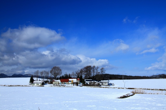 冬の農場
