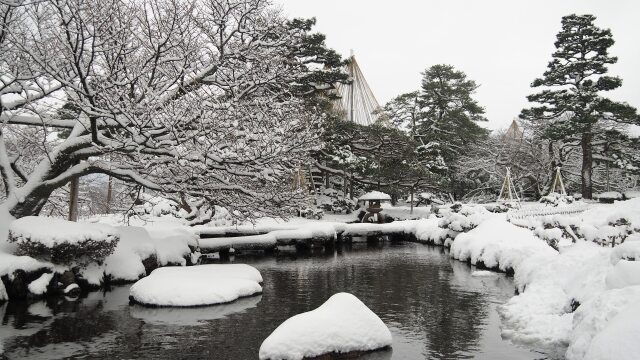 冬の兼六園