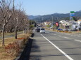 冬晴れの田舎街通り