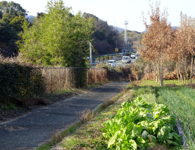 里山の畑と九州自動車道