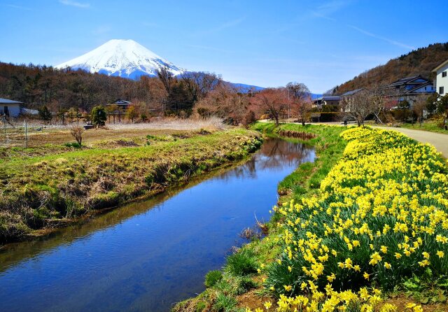 忍野八海