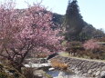 小川の公園 冬から春へ