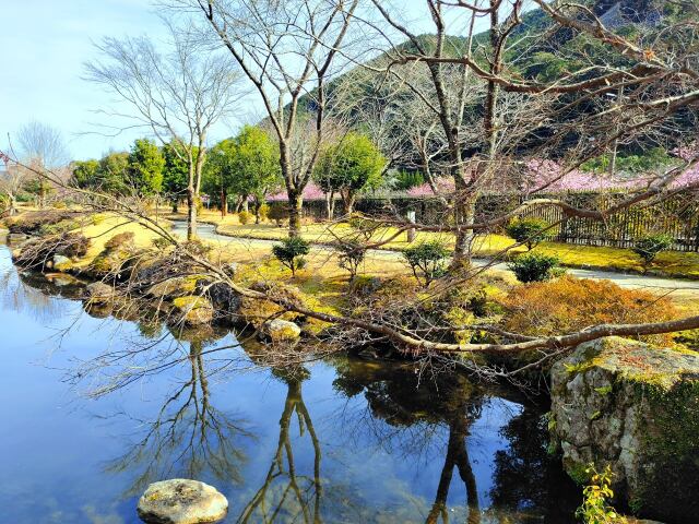 冬の日本庭園