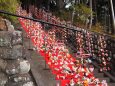 素盞鳴神社の雛段飾り