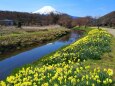 忍野八海