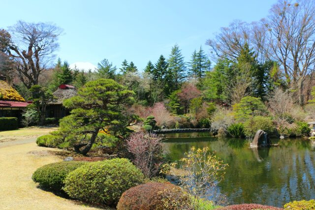 初春の日本庭園