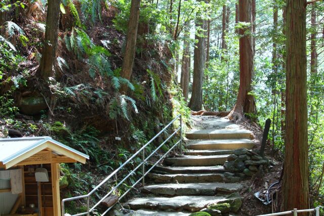 春の熊野古道