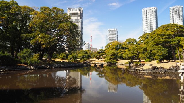 冬の浜離宮恩賜庭園