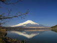 山中湖の逆さ富士