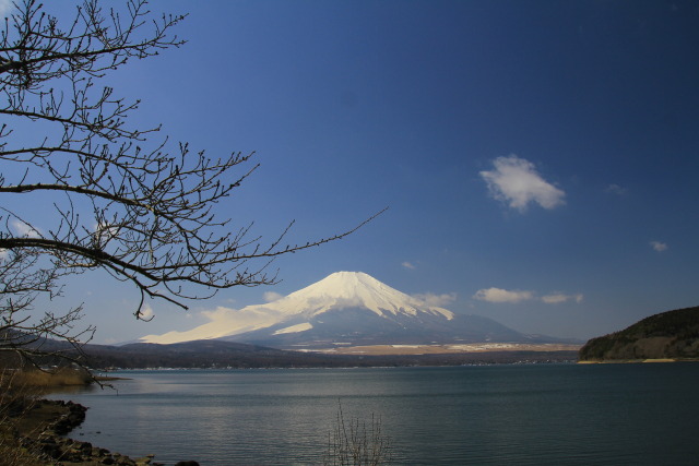 山中湖の風景