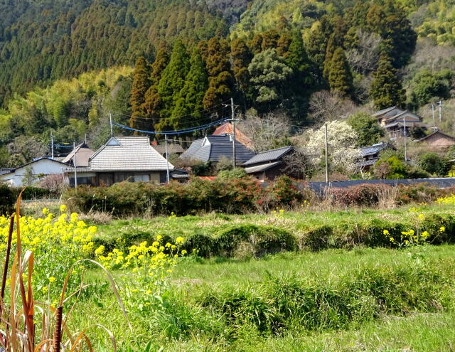 山村の春景色