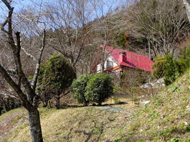 もうすぐ桜満開の別荘地