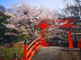 下鴨神社