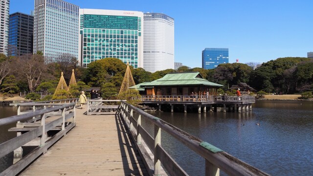 冬の浜離宮恩賜庭園