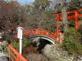 下鴨神社 2024年