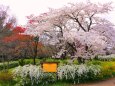 京都府立植物園