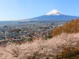 富士吉田市