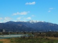 春の福井の風景