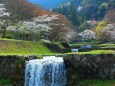 養老公園