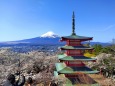 新倉山浅間神社