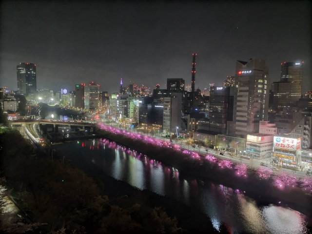 ライトアップされた夜桜と総武線