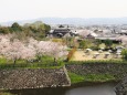 春の郡山城から見る風景