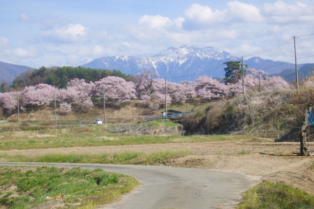 春の農道／南アルプス仙丈ヶ岳