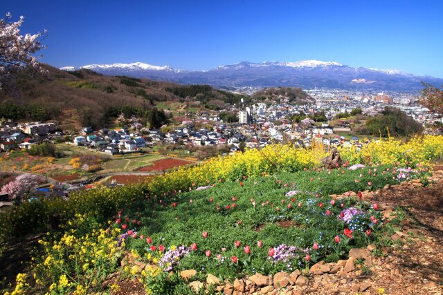 花見山展望台から