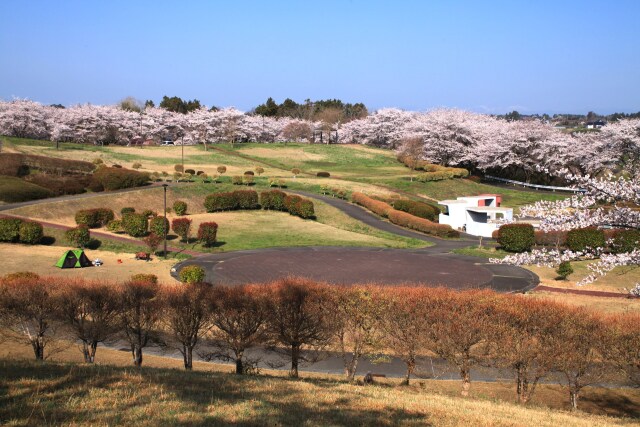 春のキャンプ場