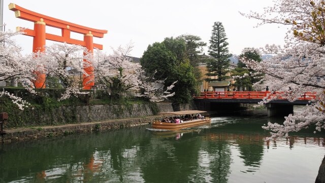 岡崎疏水の桜と十石舟