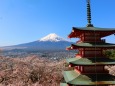 新倉山浅間神社