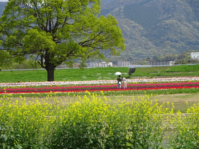 温かい春の日に