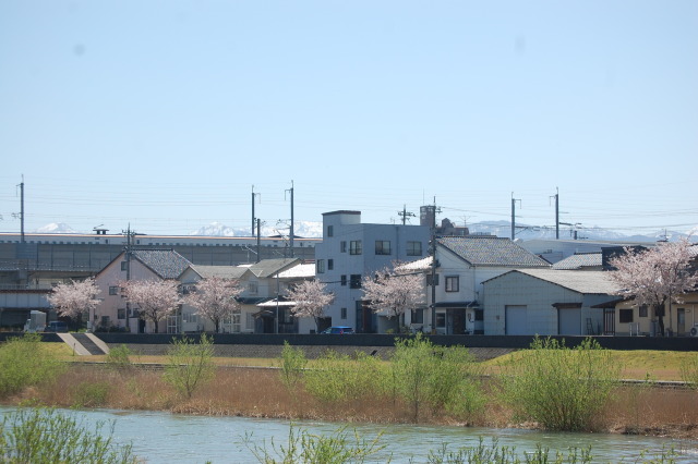 春です！新幹線です 2024年