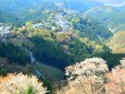 春の吉野