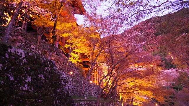 春の夜の清水寺