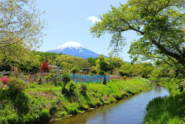 新緑の忍野八海