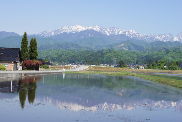 水田に映る逆さ立山連峰