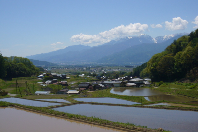 五月の山村／中央アルプス