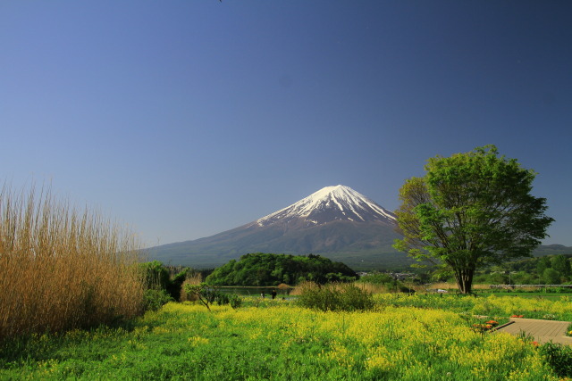 春富士山
