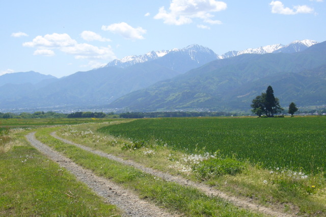 夏の気配／中央アルプス