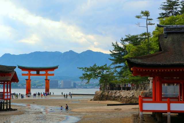 新緑の厳島神社