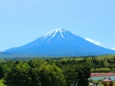 新緑と富士山